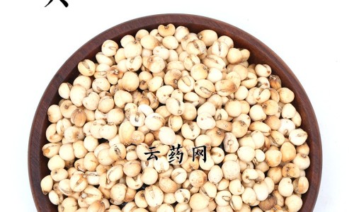 银杏谷内酯的功效与作用网- 银杏内脂的药用功效知识,分享银杏谷内酯的功效与作用及禁忌
